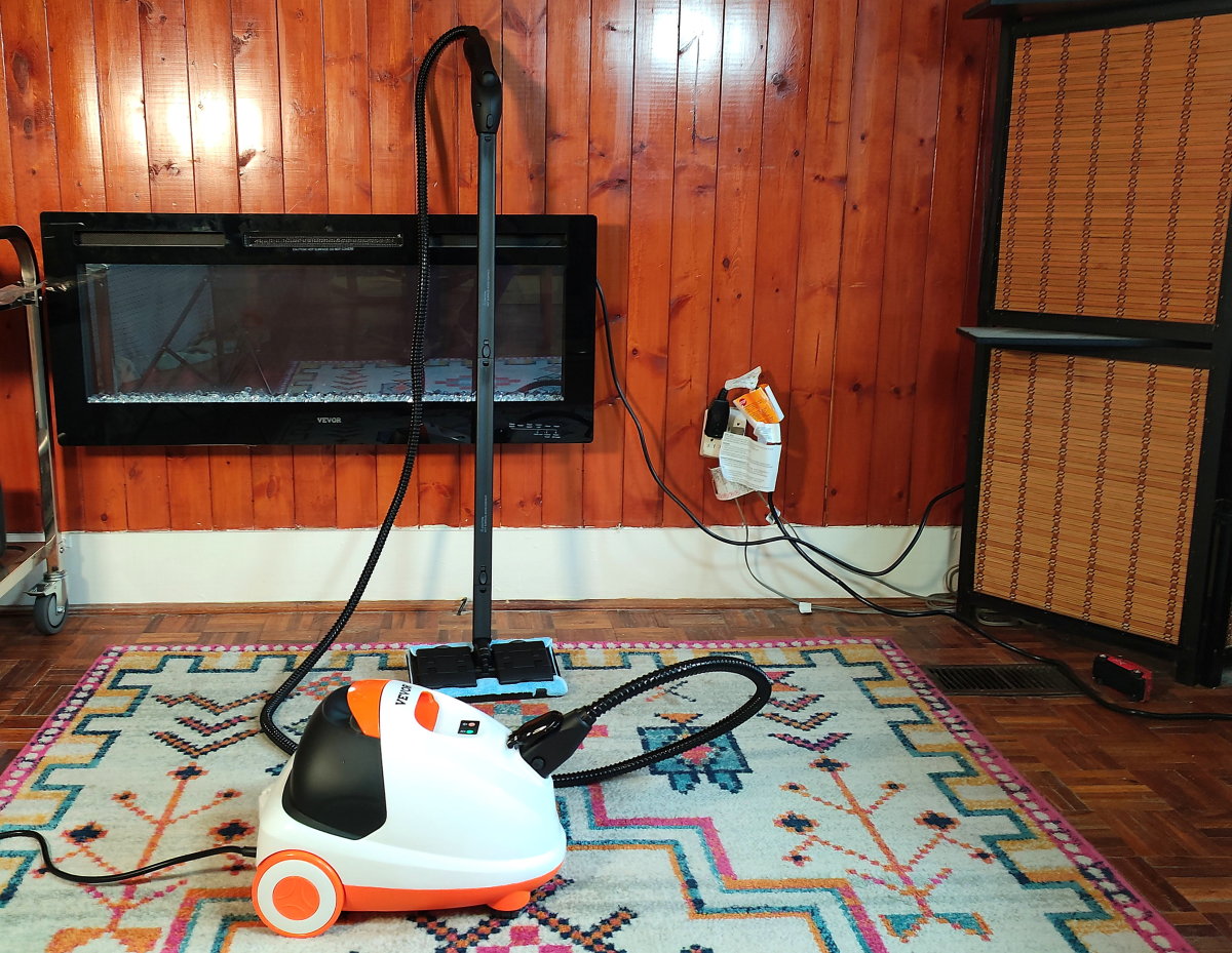 Review of the VEVOR Steam Cleaner