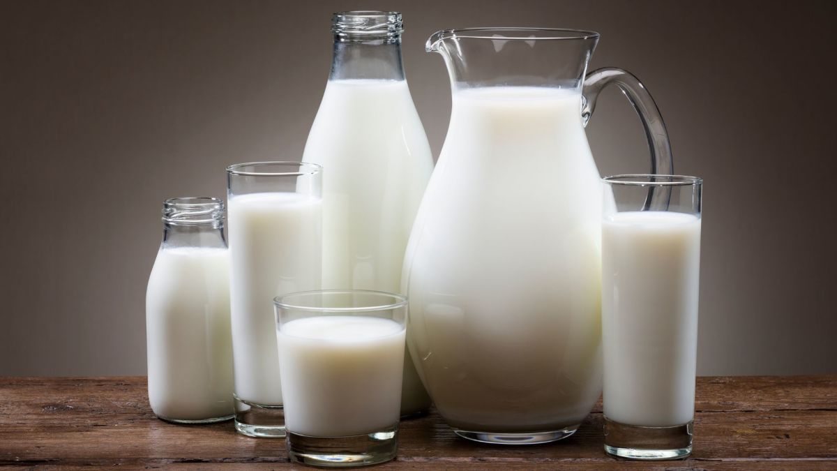 A2 Milk: The Milk Lover's Solution to Protein Intolerance