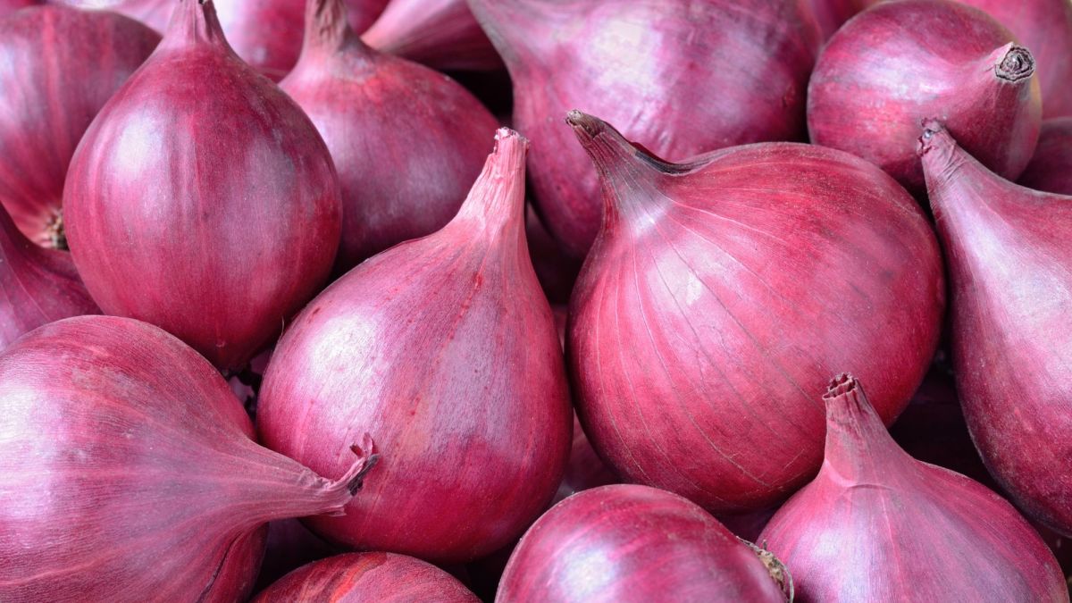 13 Amazing Benefits Of Shallots For Skin, Hair, And Health