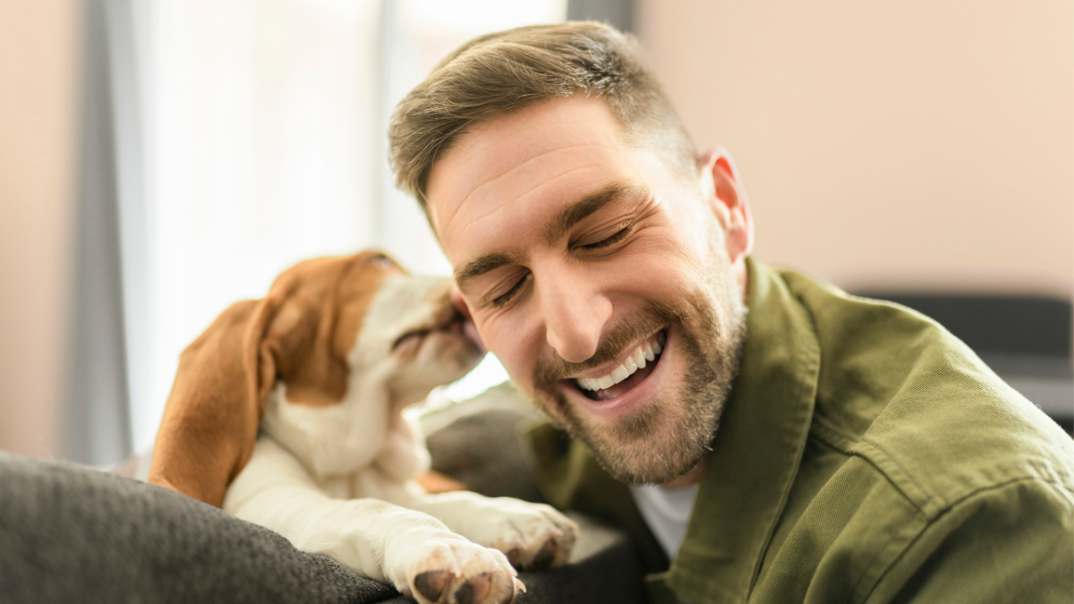 10 Reasons Dogs Nibble With Their Front Teeth PetHelpful