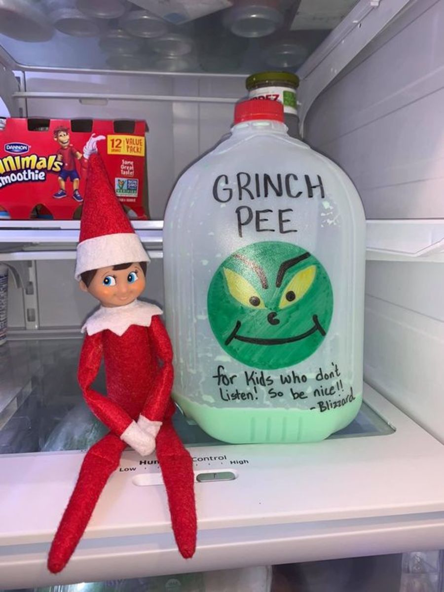 funny elf on the shelf and grinch  Elf on the shelf, Awesome elf