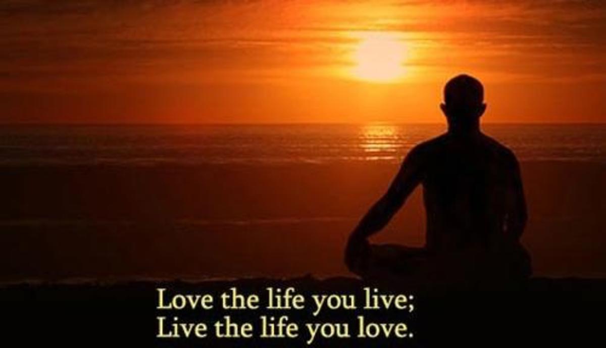 How To Enjoy Life Fully HubPages