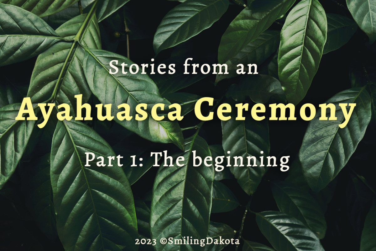 An Ayahuasca Story Part 1: The Beginning - HubPages