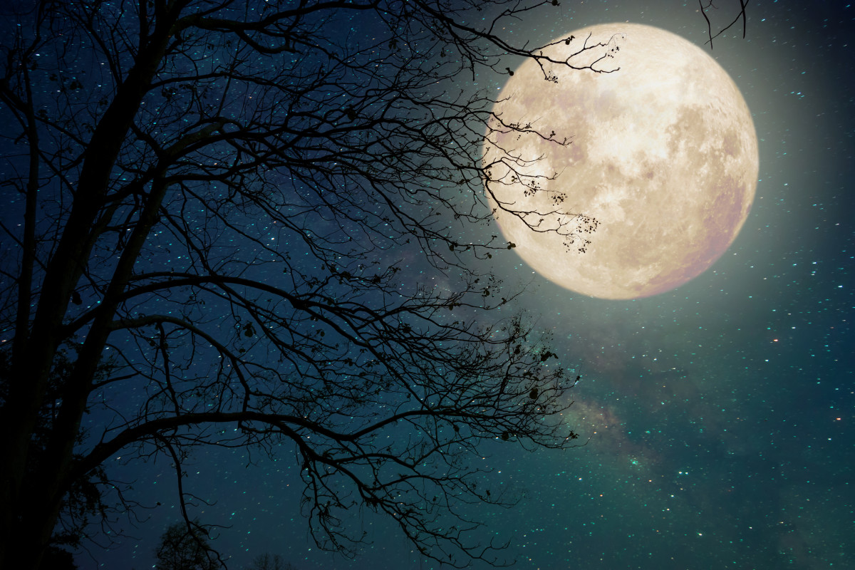 The Mysterious Myth of the Full Moon Madness