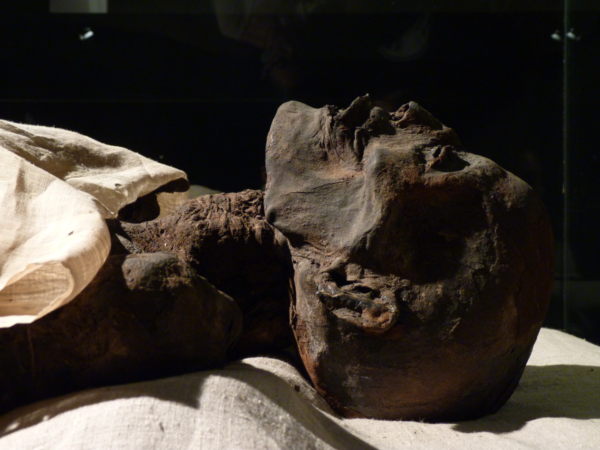 How Mummies Are Made in Egypt? A Scientific Explanation