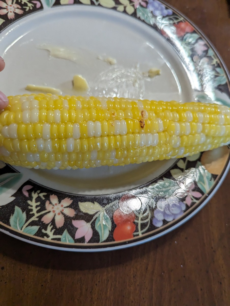 Sweet Corn Hard Grilled with Husks On