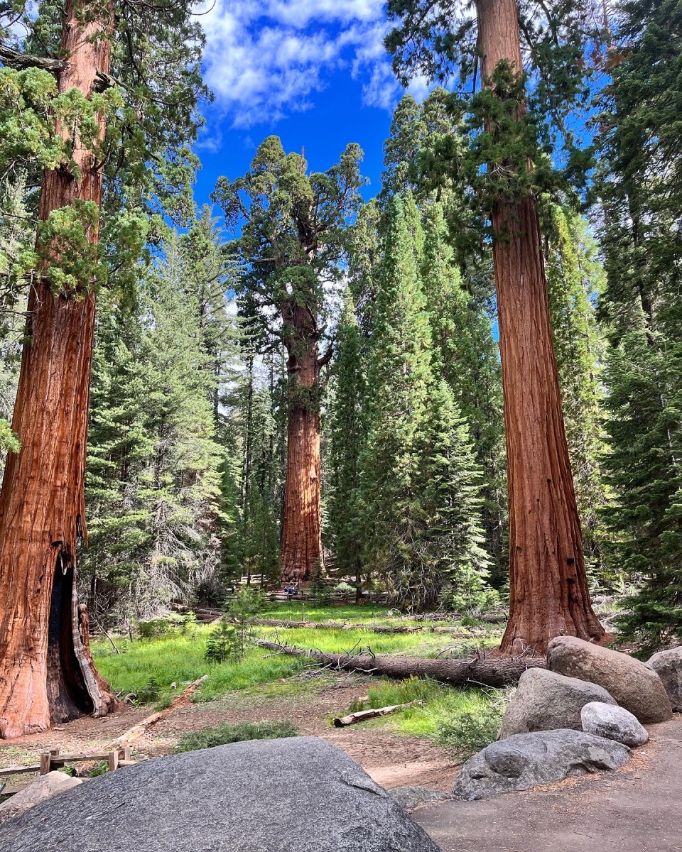 Ultimate Guide To Camping In Sequoia National Park What To Know Before You Go 