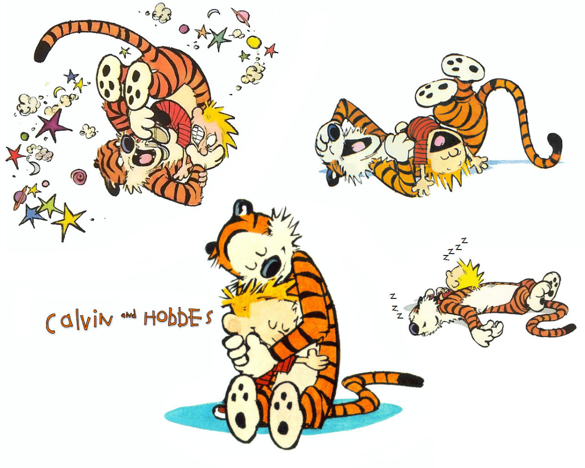 The Complete Calvin and Hobbes Box Set