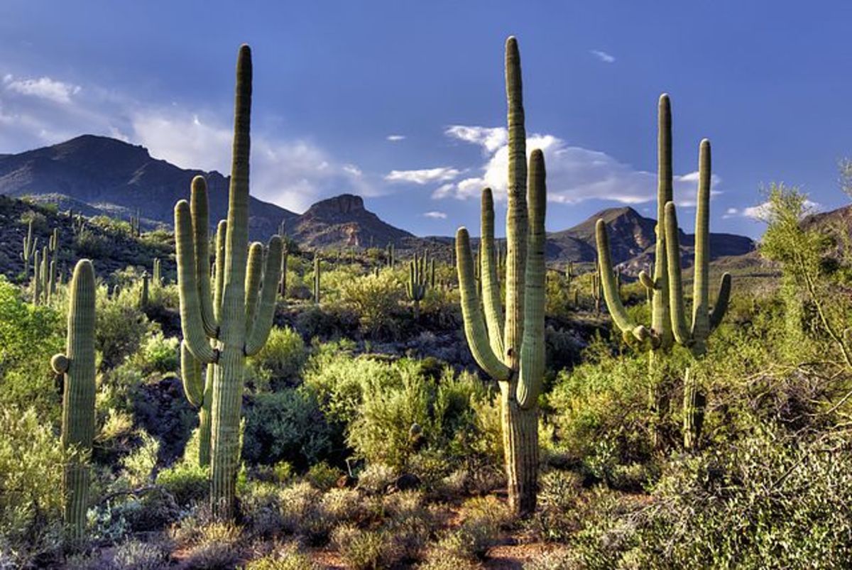 Exploring Top Resorts in Scottsdale, Arizona