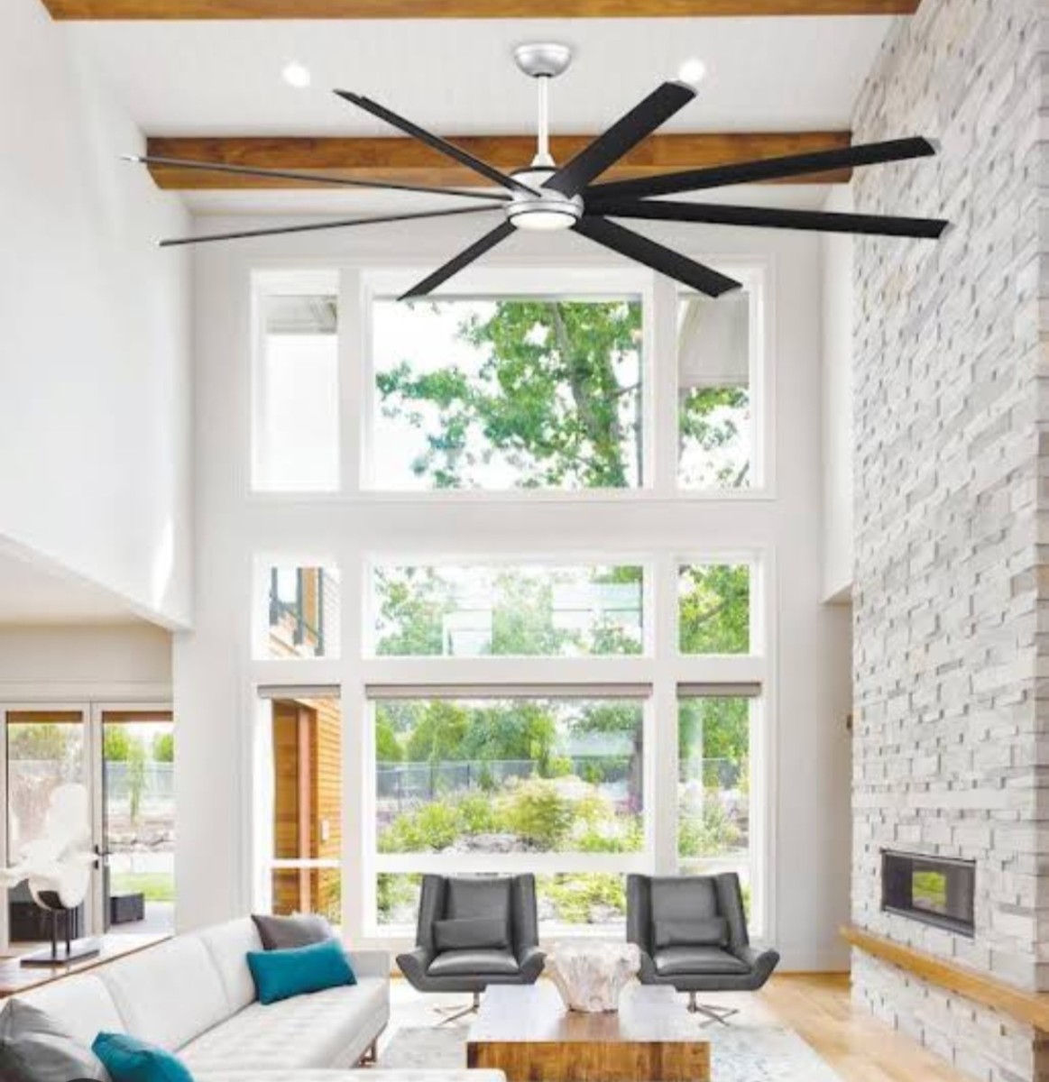 Fan