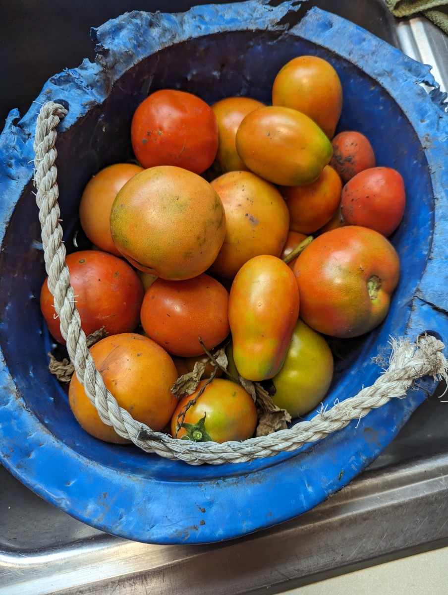 Tomato Juice Fresh Using LaLane Juicer HubPages