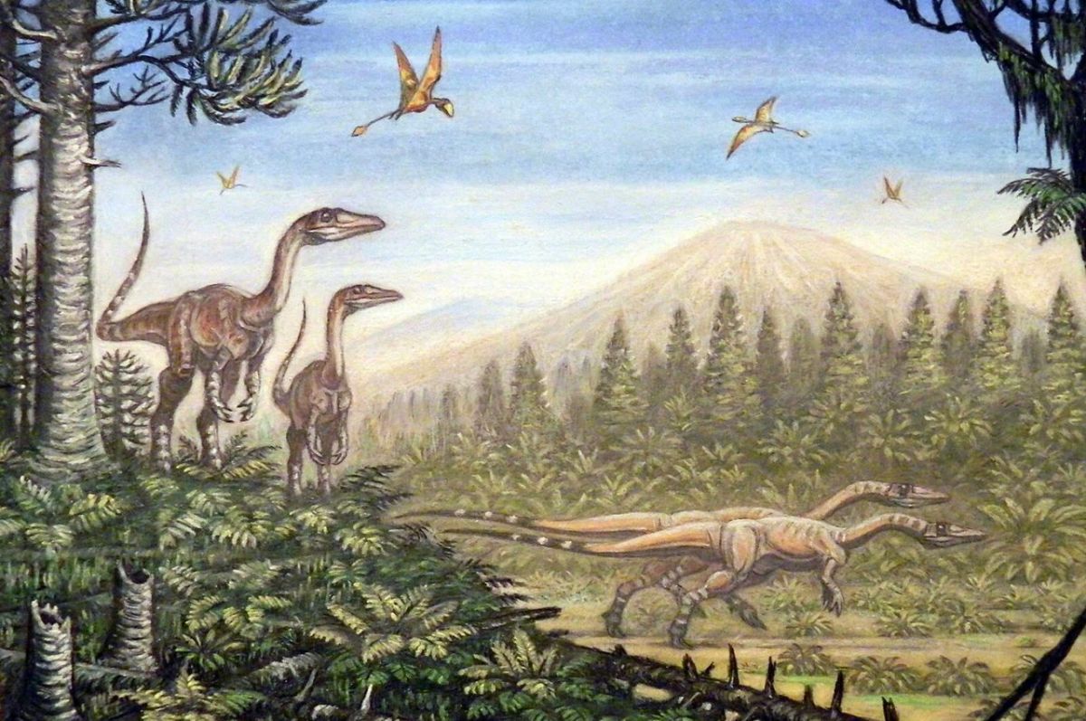 Triassic Period: The Earth's Recovery From Mass Extinction