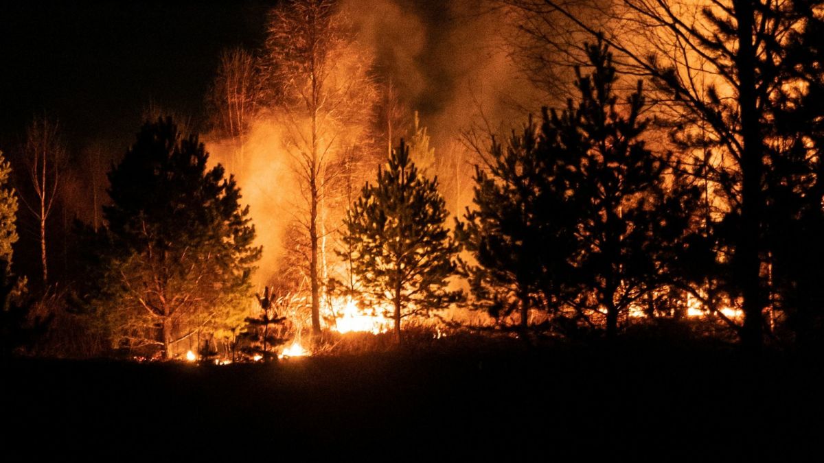 The Top 10 Worst Wildfires in American History