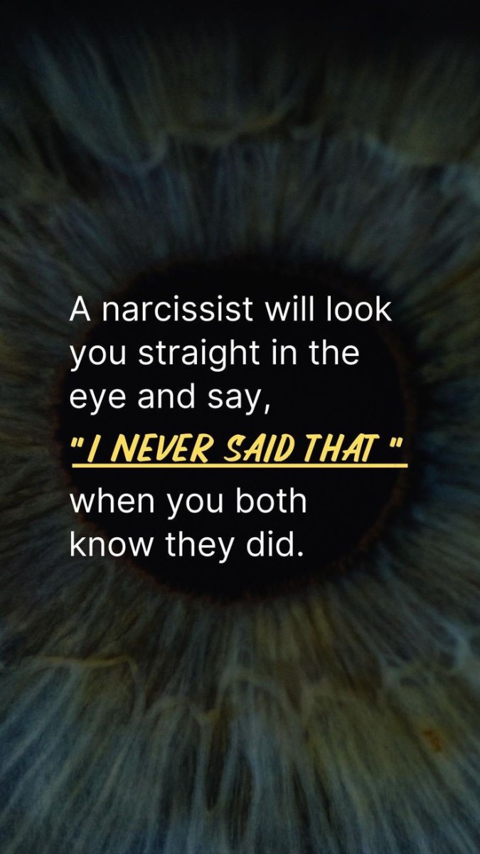 Narcissistic Affair