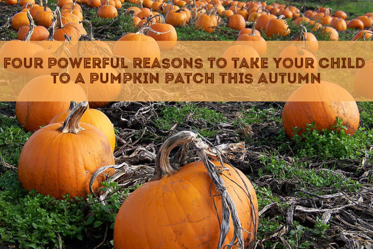 4 Reasons to Take Your Son or Daughter to an Autumn Pumpkin Patch