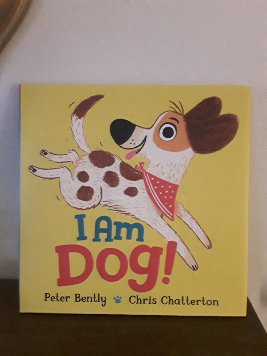 Dog's Busy Day in Colorful Picture Book for Young Pet Lovers
