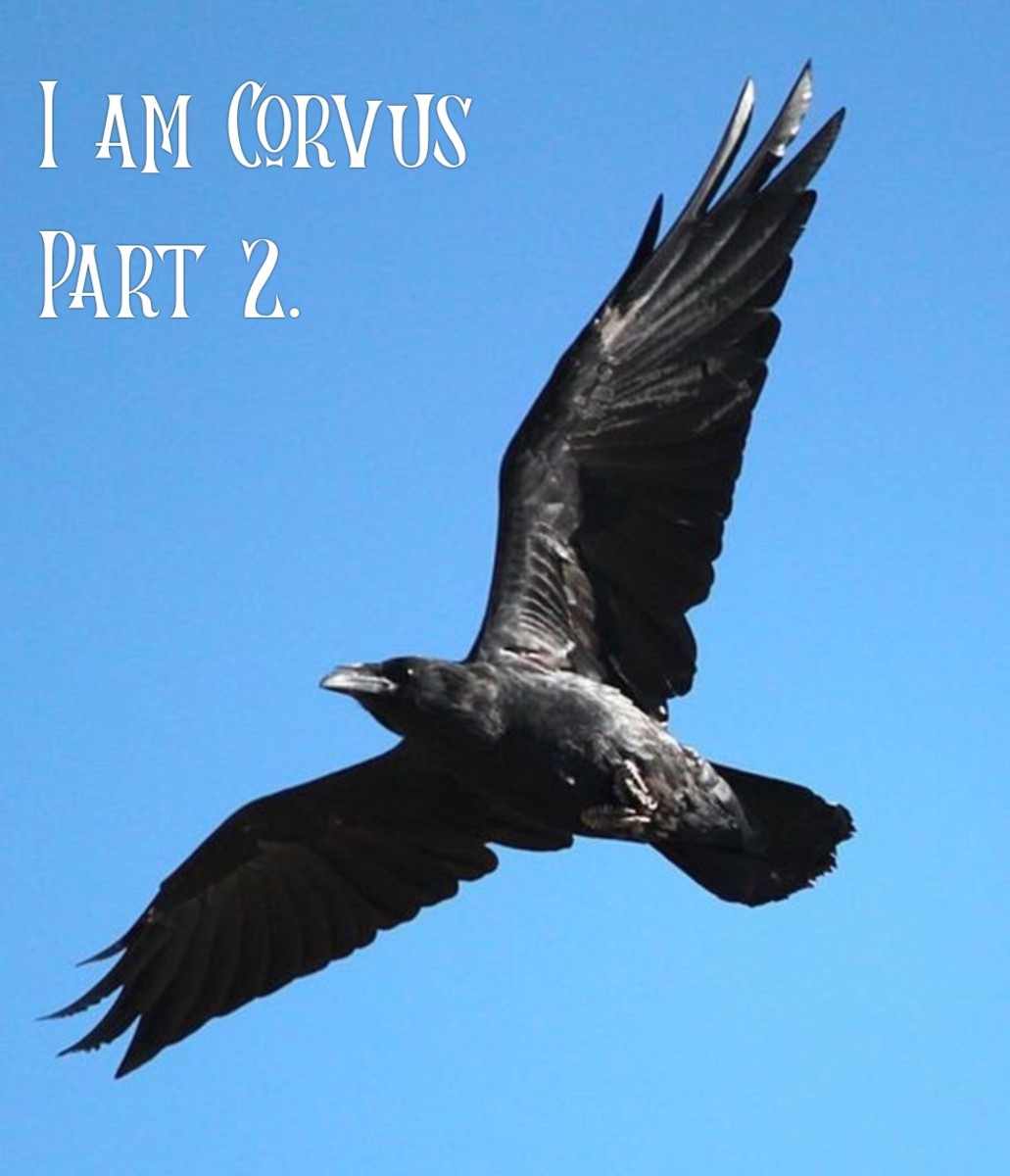 I Am Corvus Part 2