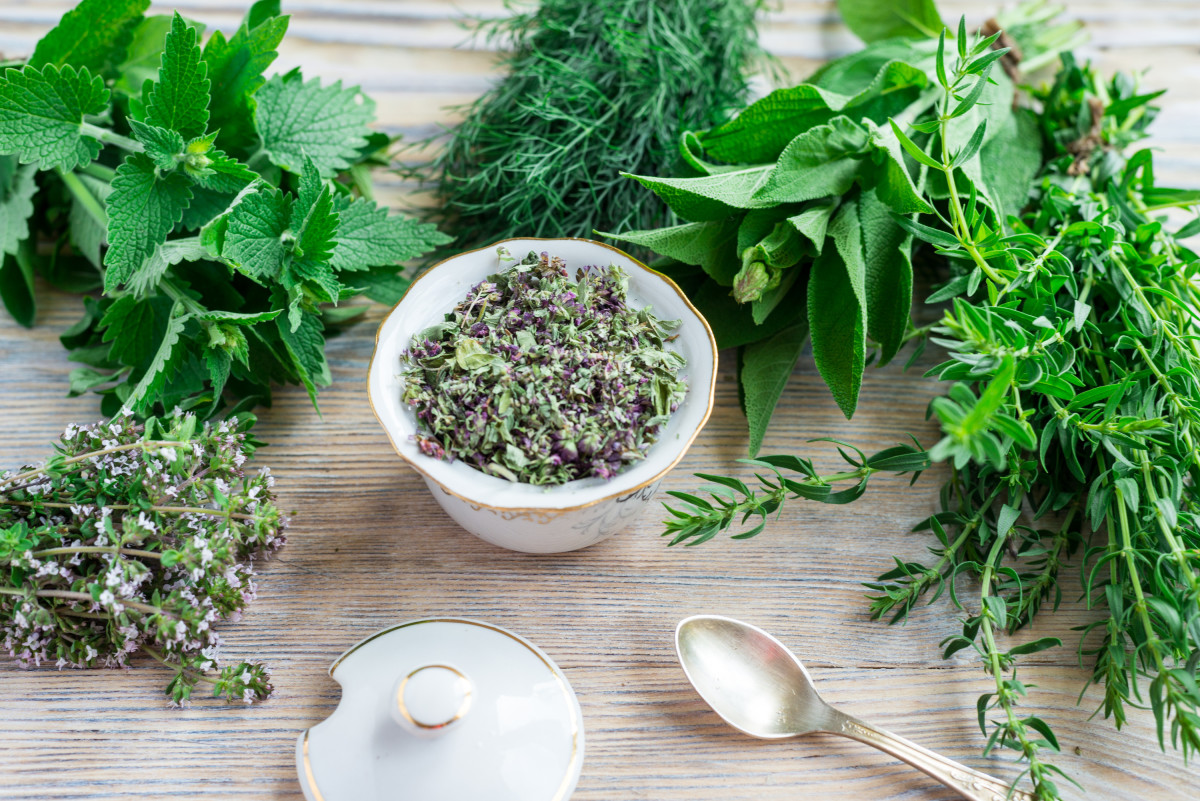 Chef Explains When Best to Use Fresh vs. Dried Herbs Delishably News