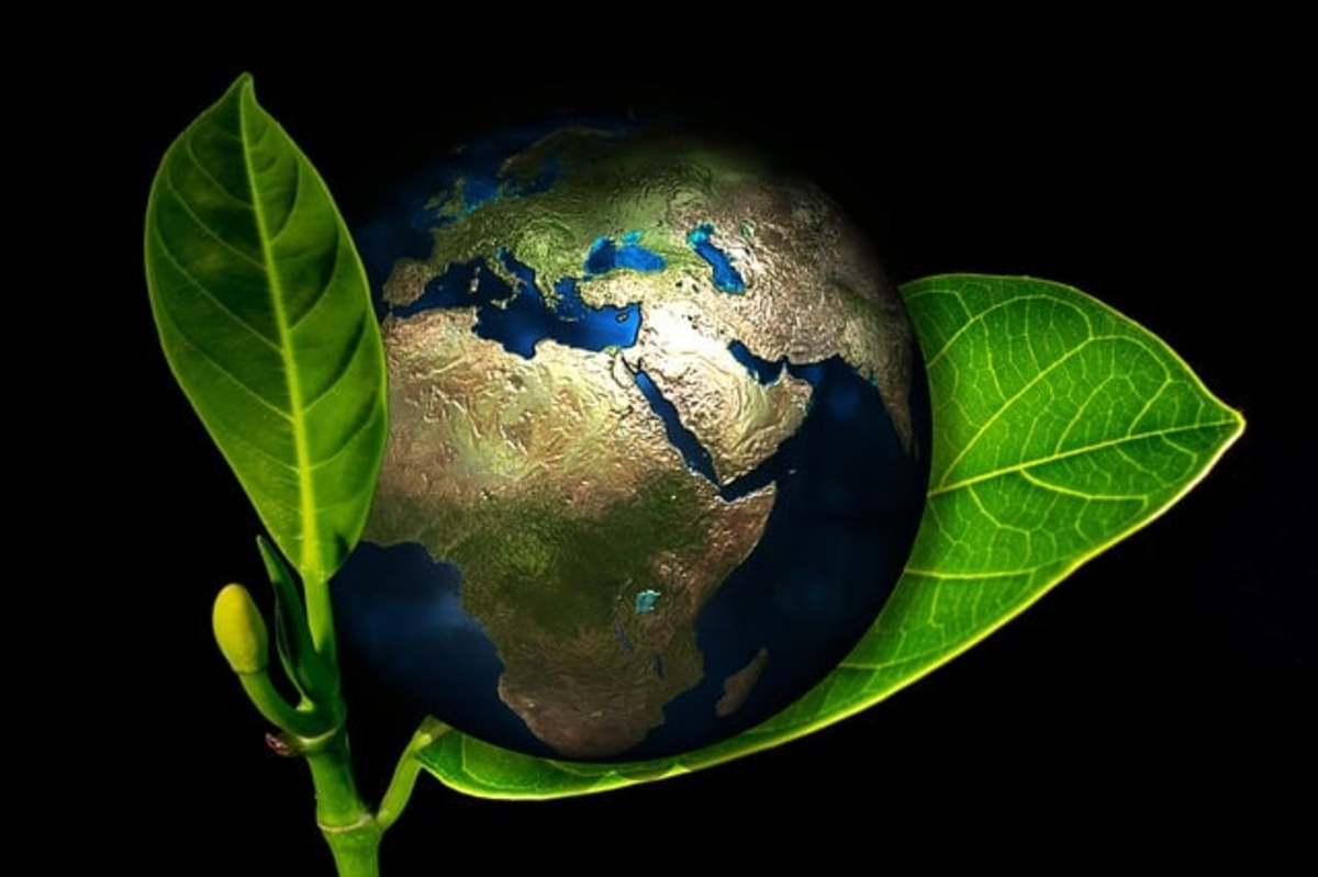 The Impact of Eco-Friendly Substances on Health