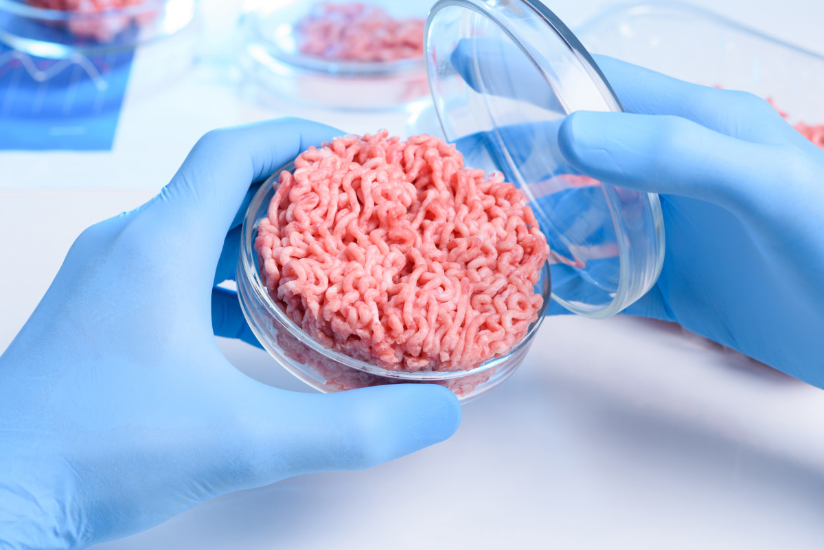 Doctor Runs Down Reasons LabGrown Meat Is Potentially Worse for the