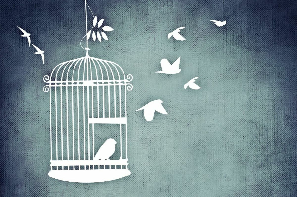 "Caged Bird" poem analysis