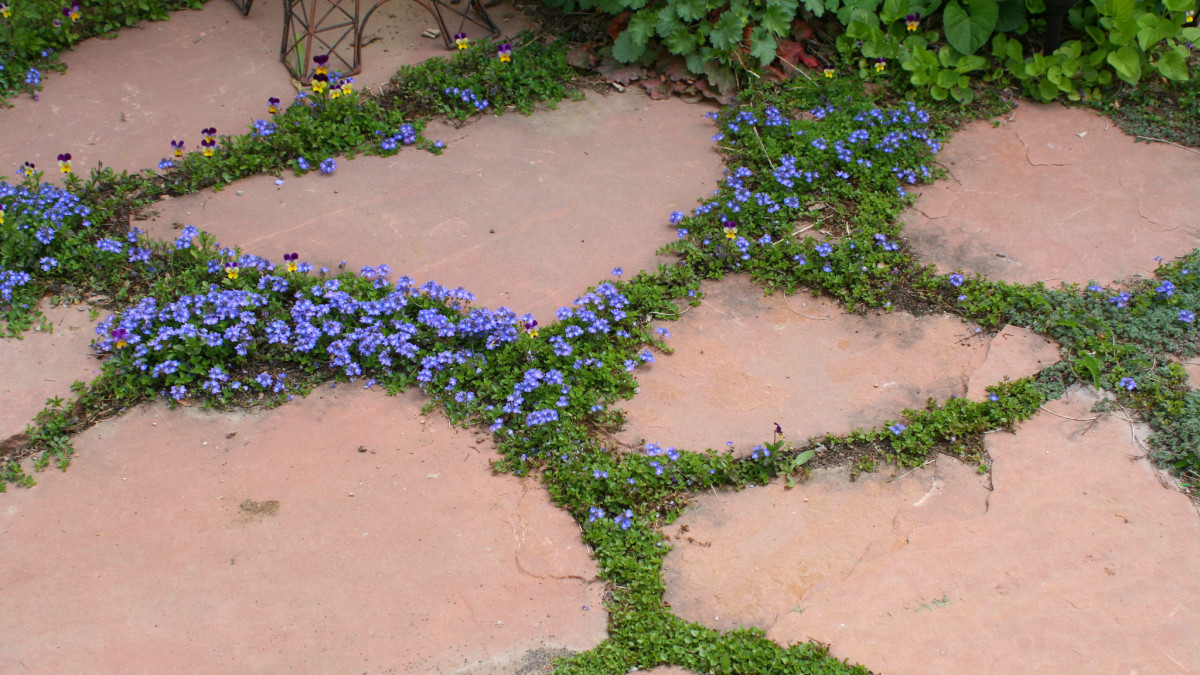 How Do I Lay a Flagstone Walkway? Dengarden
