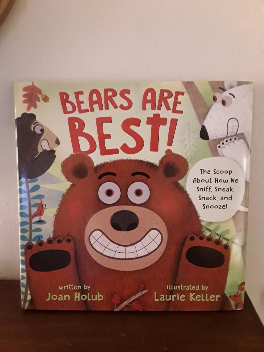 Bear Facts in Creatively Written Non-Fiction Picture Book for Young Readers