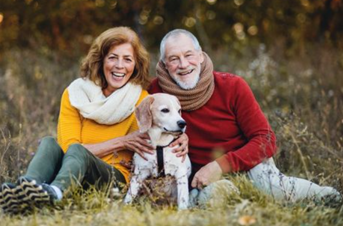 21 Best Dog Breeds for Senior Citizens HubPages