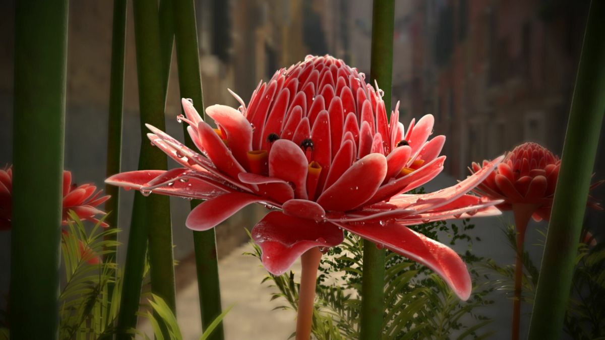 Torch Ginger Flower: How to Grow, Care, Benefits and Uses