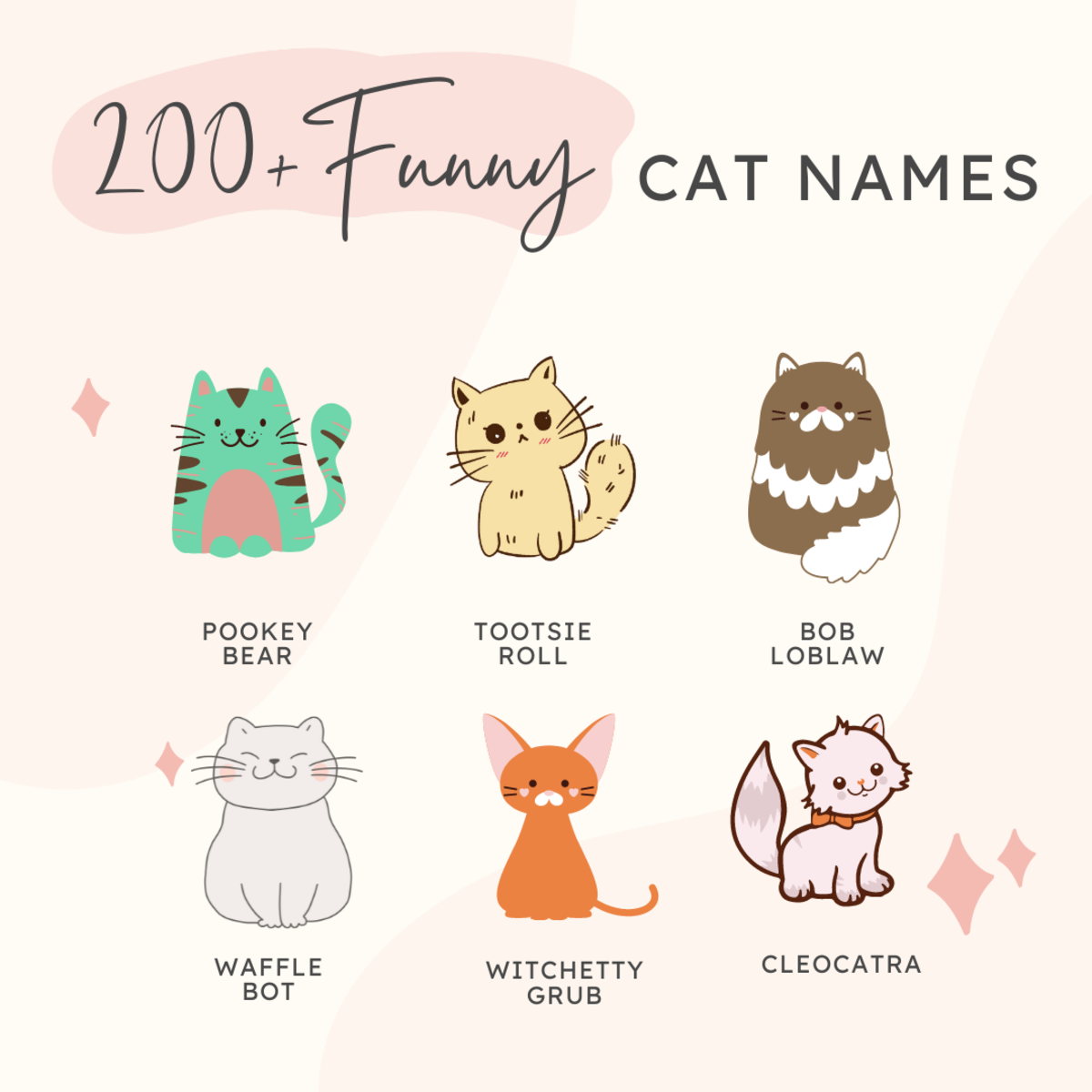 200+ Funny Names for Cats