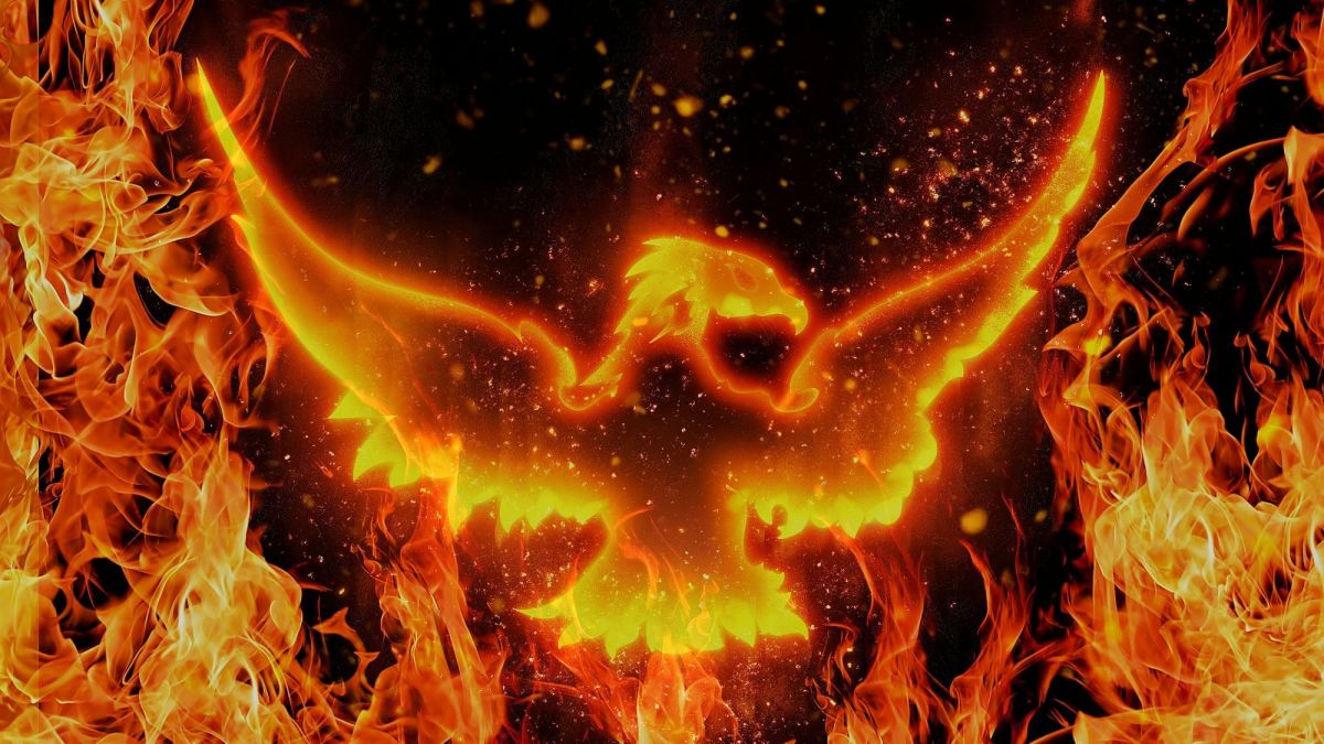 The Phoenix: A Mythological Bird
