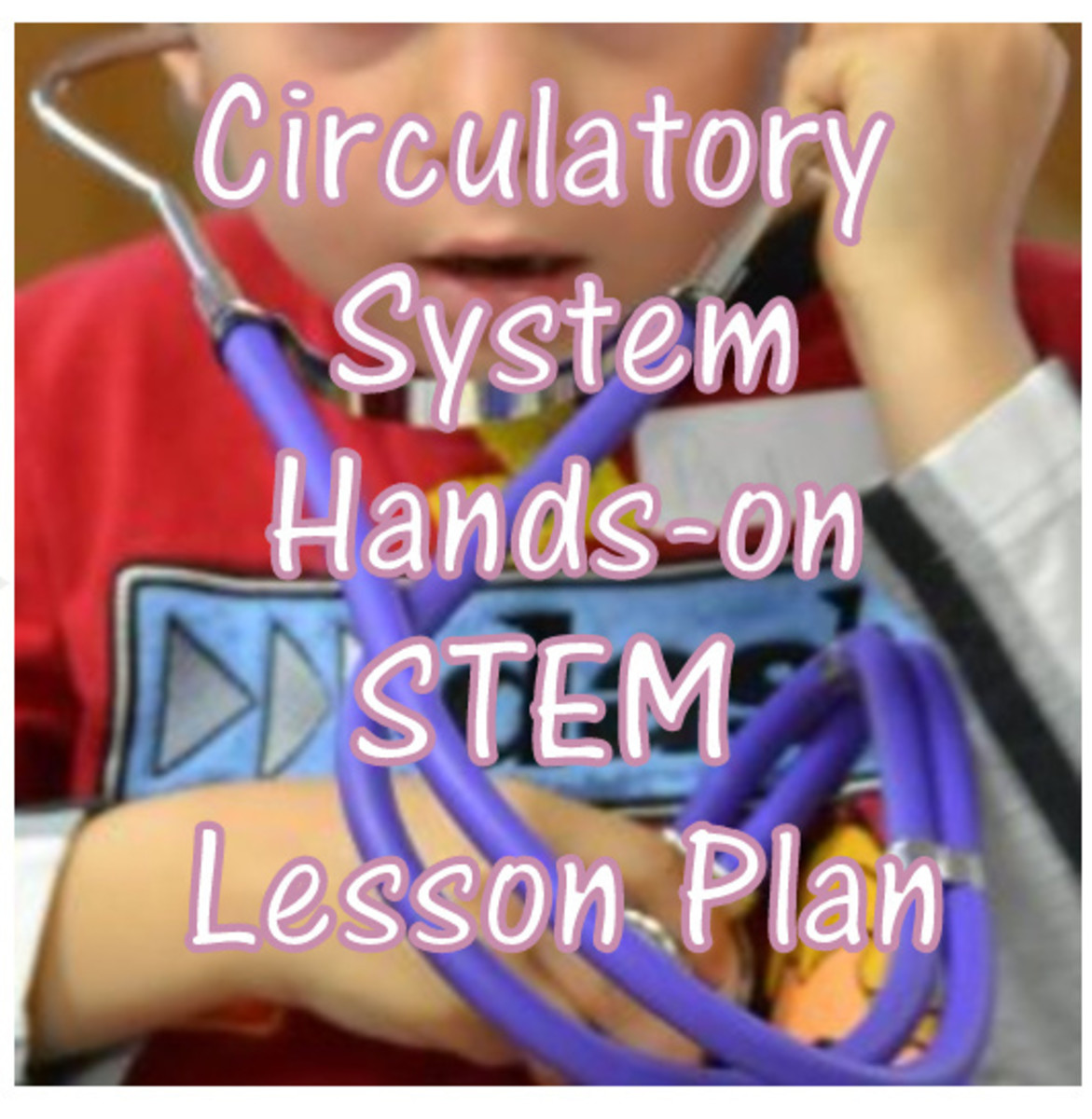 Circulatory System Lesson