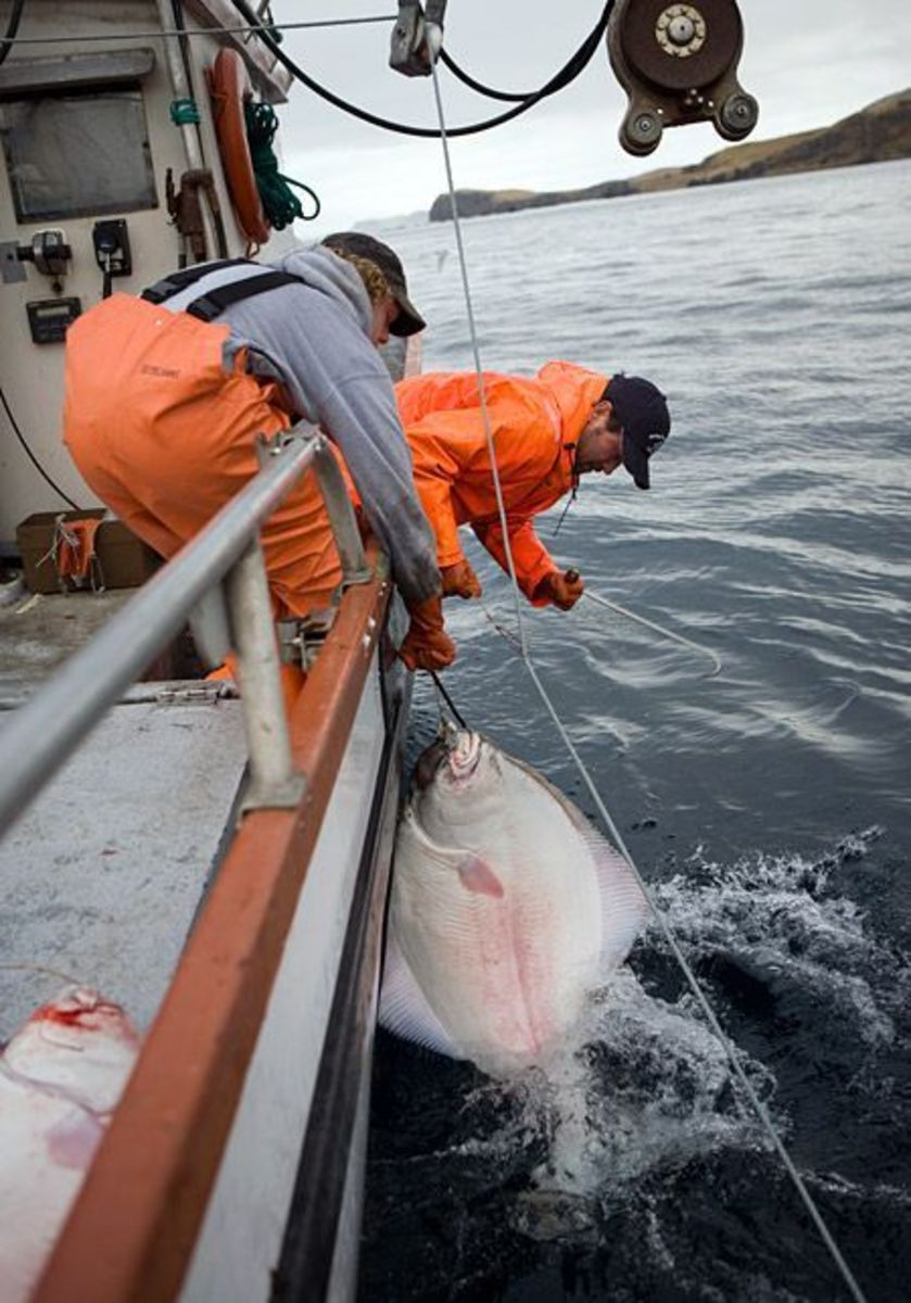 List of the Top 10 Deadliest Jobs in the United States
