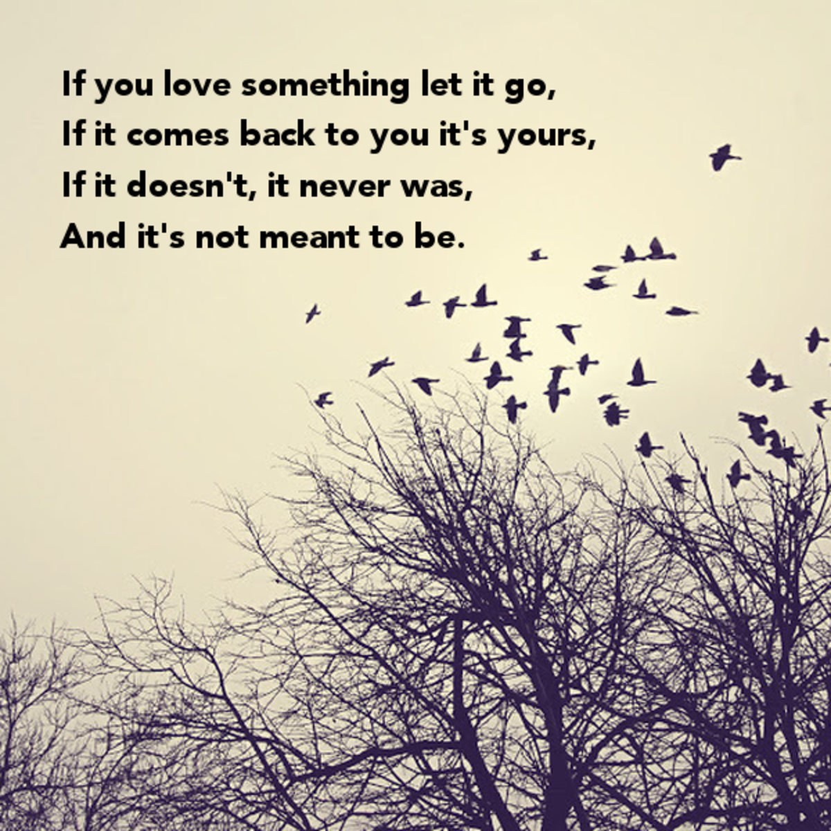 Interesting Quotes For The One That Got Away Photos