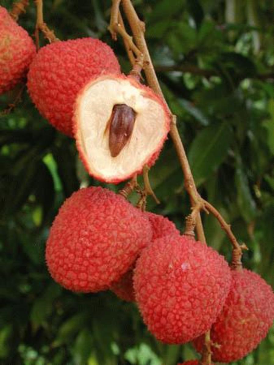 Lychee Fruit: A True Super Food