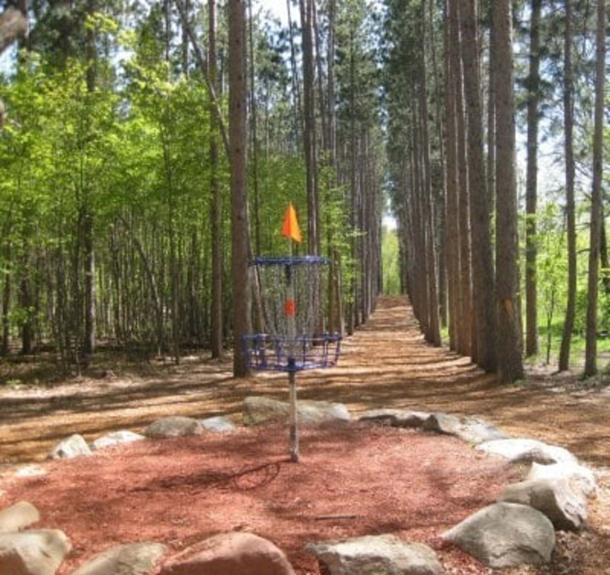 How to Buy the Best Practical Disc Golf Bag