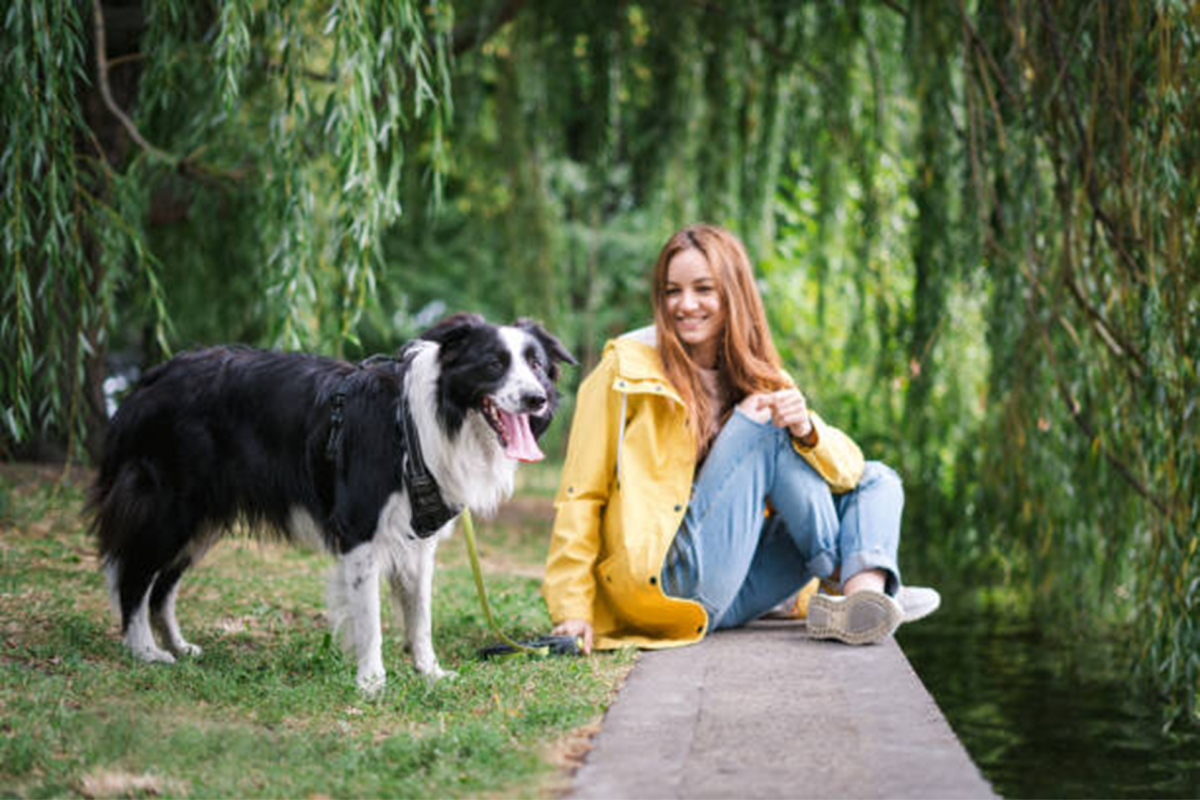 The 21 Most Affectionate Dog Breeds - HubPages