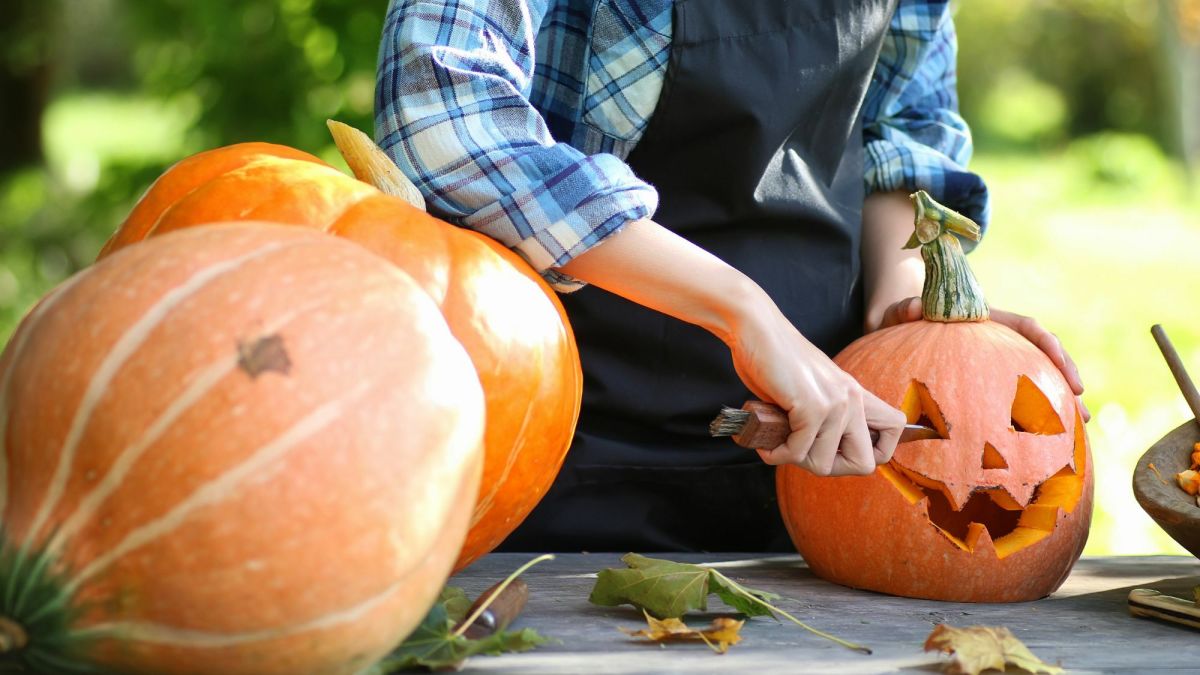 5 Reasons to Cut Your Pumpkin From the Bottom
