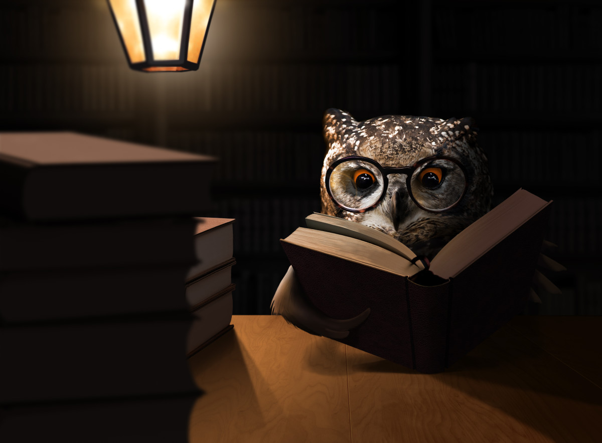 “Night Owl Energy” – Poem for Late Night People