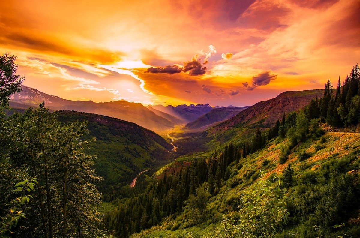 Paint Me a Home in Montana