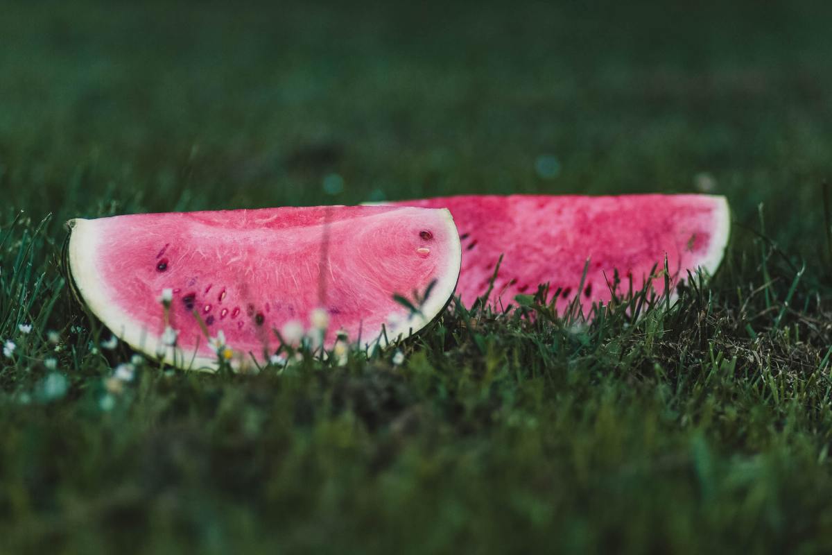 Facts about Consuming Watermelon: The Juicy Water of Life