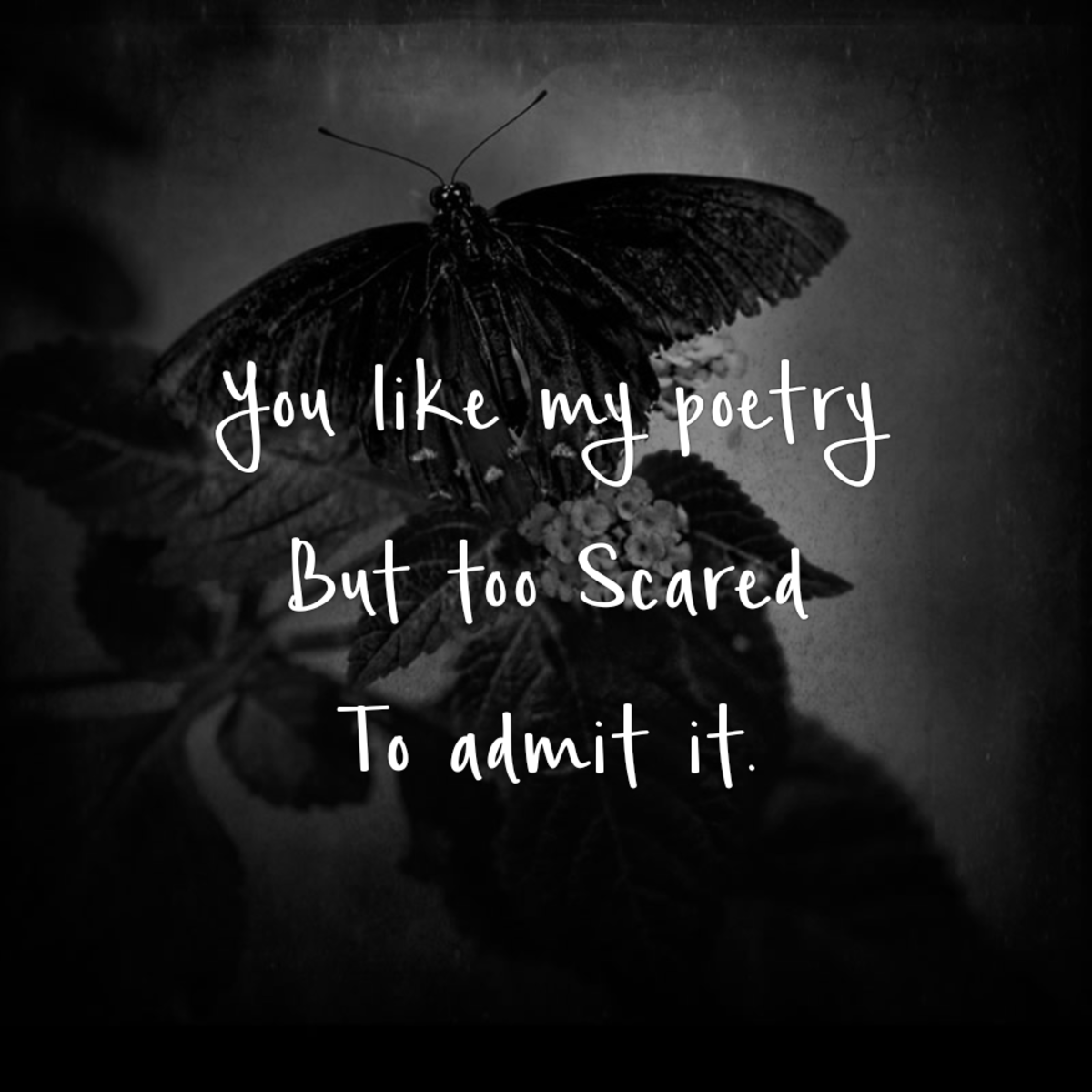 You Like My Poetry but Too Scared to Admit It.