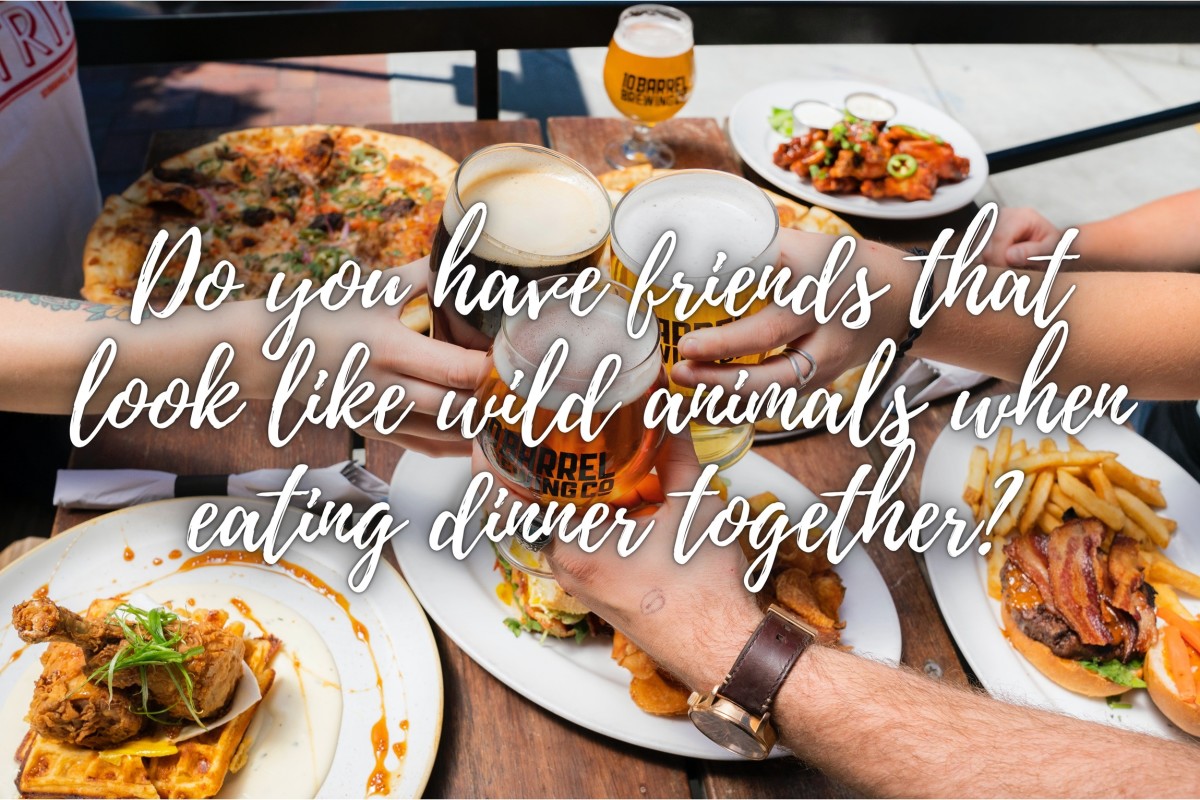 150-dinner-quotes-and-caption-ideas-for-instagram-turbofuture