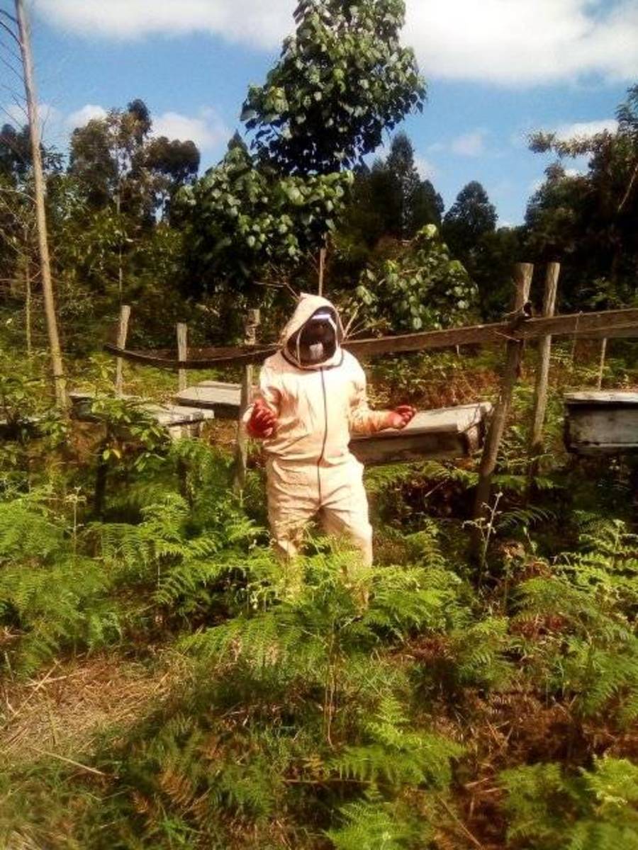Man who Keeps Bees for Crop Pollination Says Its a Rewarding Venture