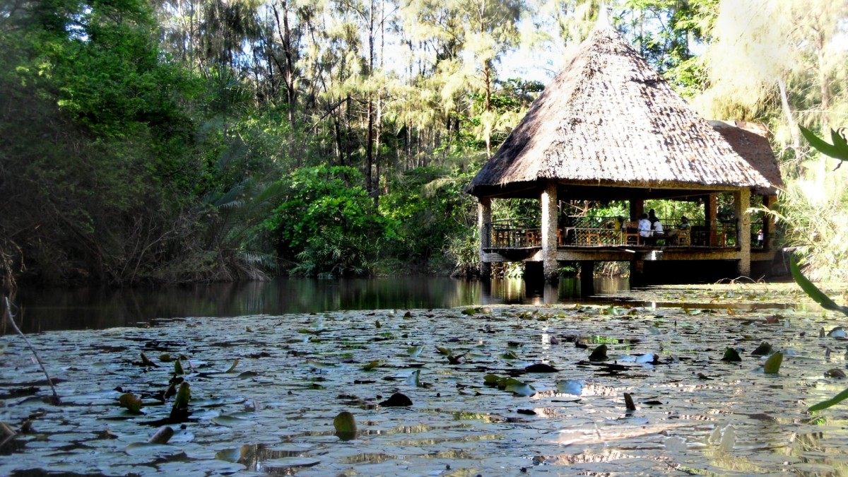 Mombasa visual data 6