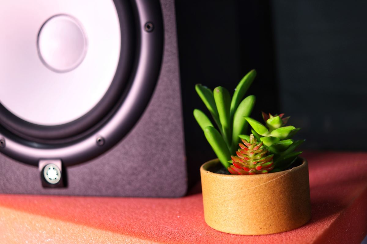 Is Music Good for Plants?