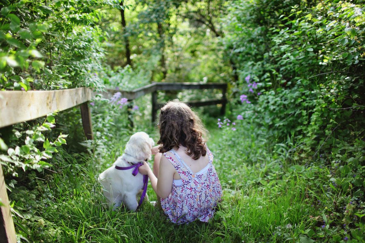 The Best Comfort Dog for a Scared Child (And Training Tips)