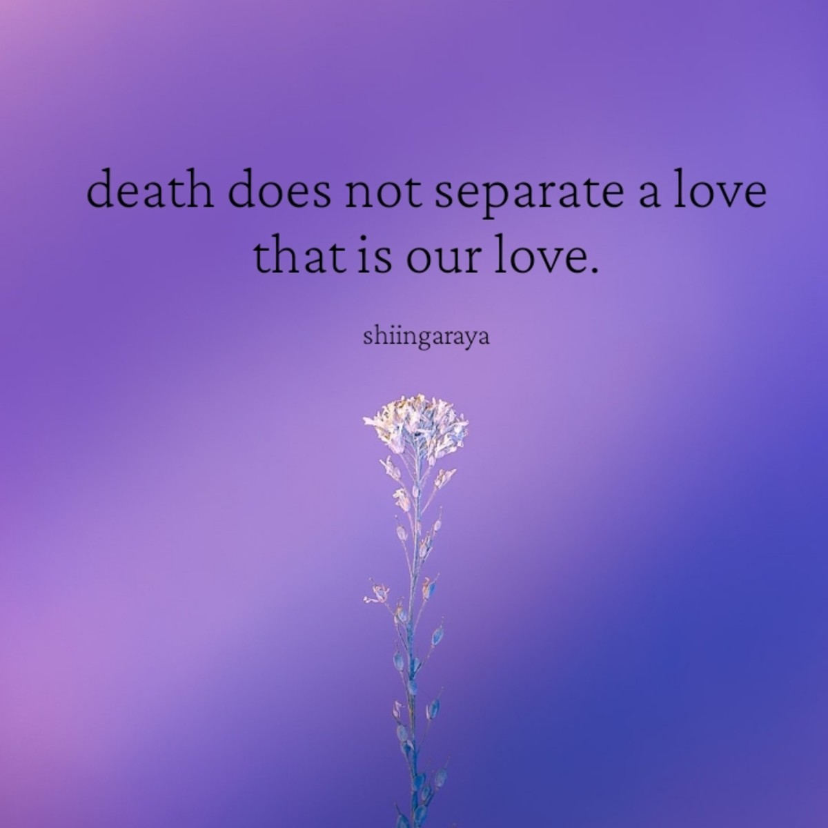 Lies of the heart - LetterPile