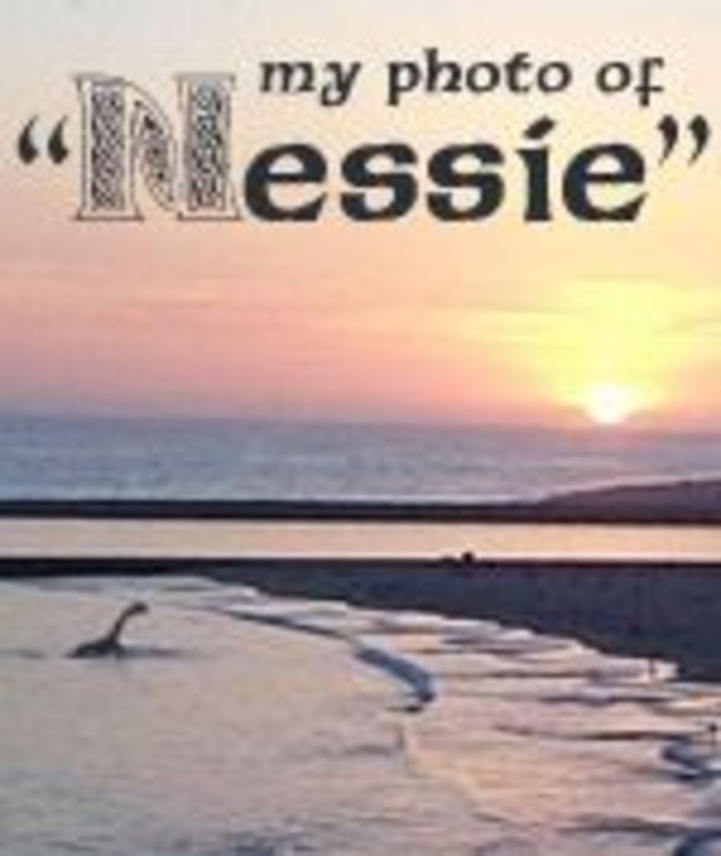 My Amazing Nessie Photo!
