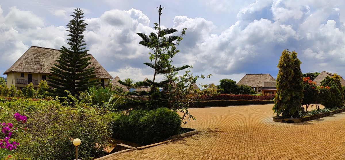 Uganda's Victoria Forest Resort: A Honeymoon Destination for Those on a Budget